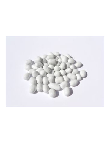 MINI MINT BOLSA 1,5 KG  SAET