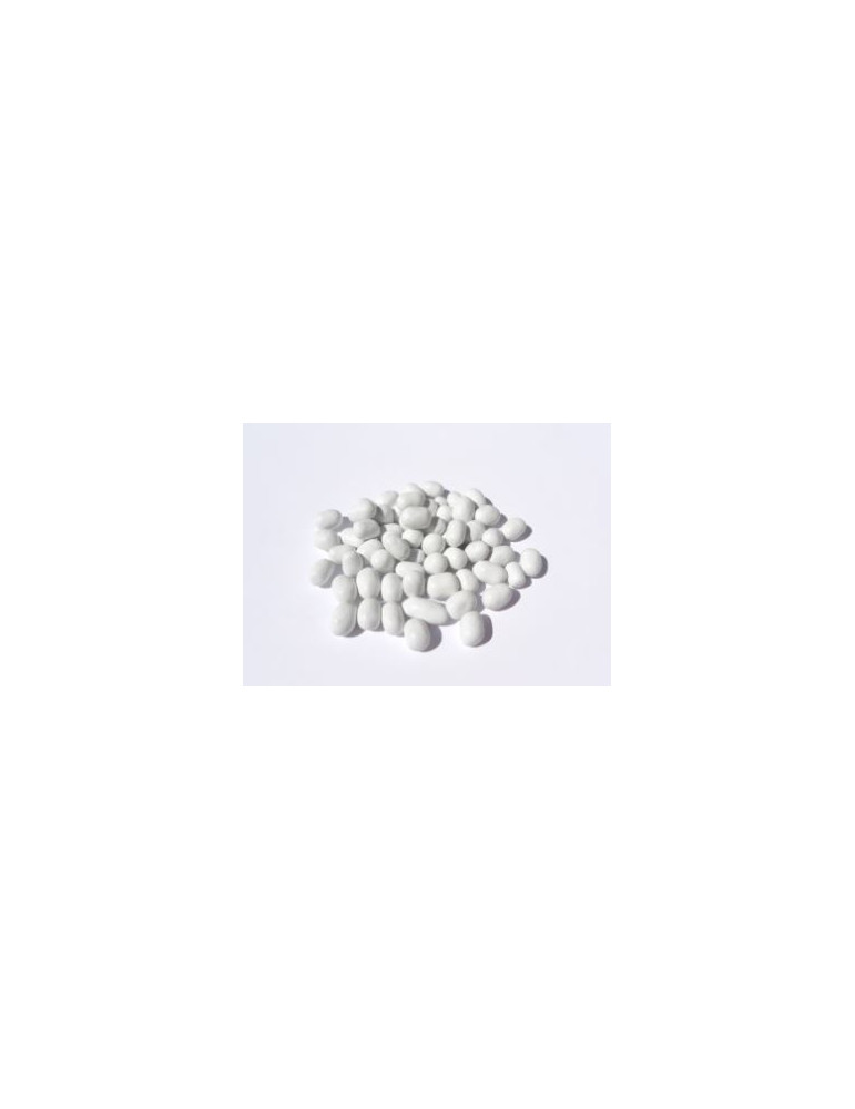 MINI MINT BOLSA 1,5 KG  SAET