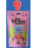 MINI CALAVERAS FRESA ACIDA BOLSA 100 GR