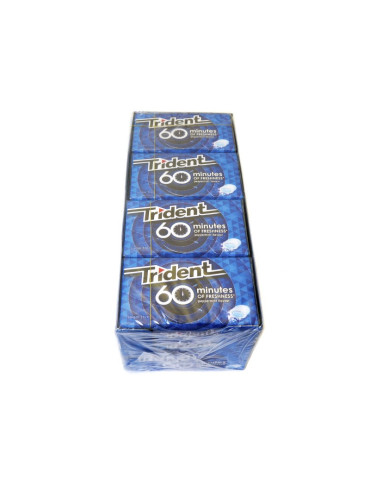 TRIDENT 60 MINUTOS MENTA 16X20GR.