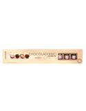 CHOCOLADORRO STRAWBERRY Y WINE 100 GR