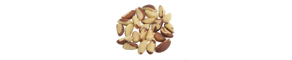 COQUITOS