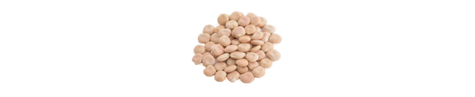 ALTRAMUCES